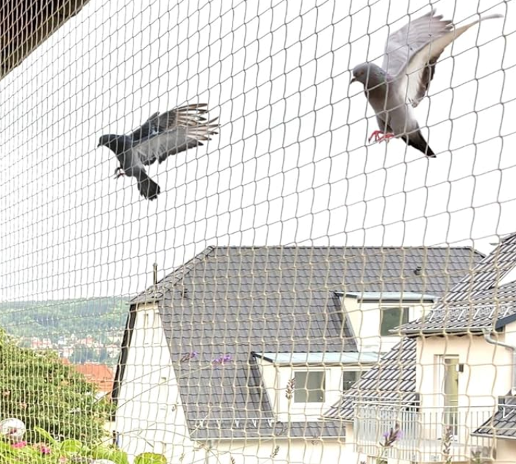 Which is the best pigeon safety nets company in India