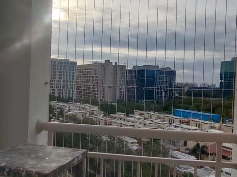 benefits of bird safety net installation